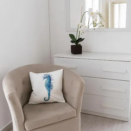 Cielo Mare * فياريجيو